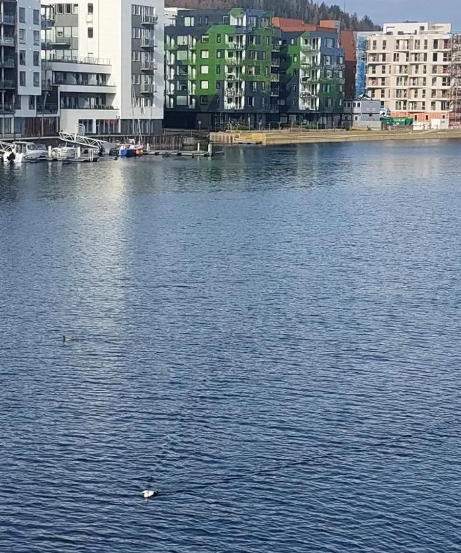 Bergen City Apartment